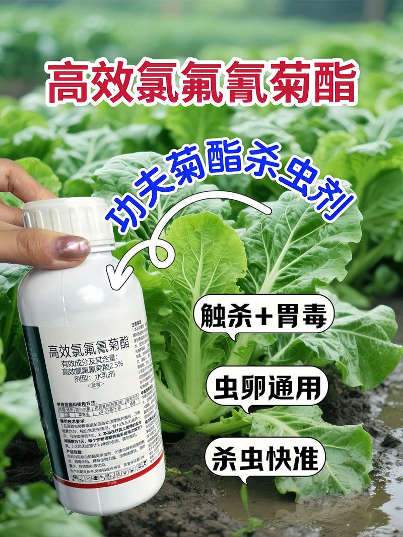 阳江代生中心:农药对供卵代生妈妈的危害